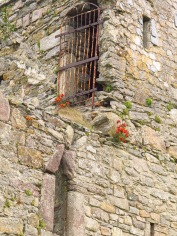 Flowers on Fethard Castle