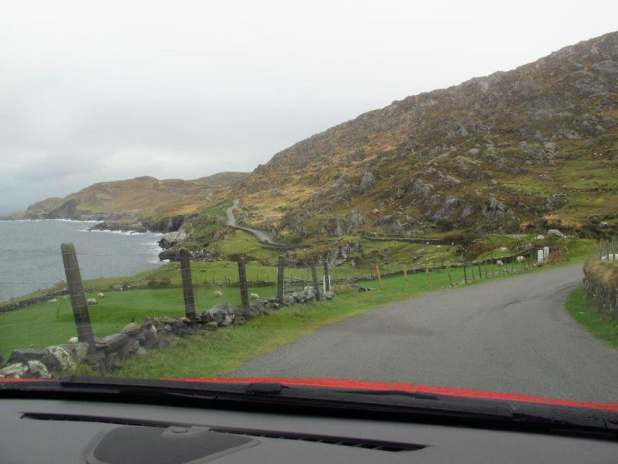 The road follows the ocean and it's just beautiful - the Ring of Beara