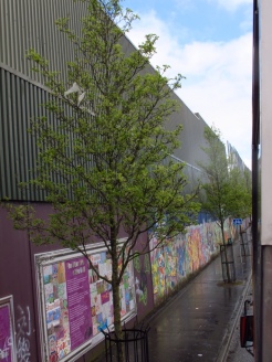 Part of the Peace Walls in Belfast, they have stood longer than the Berlin Wall