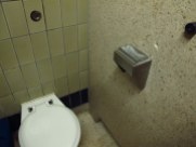 Handy for multi-tasking smokers! An ashtray built into the toilet roll holder - public toilet in York
